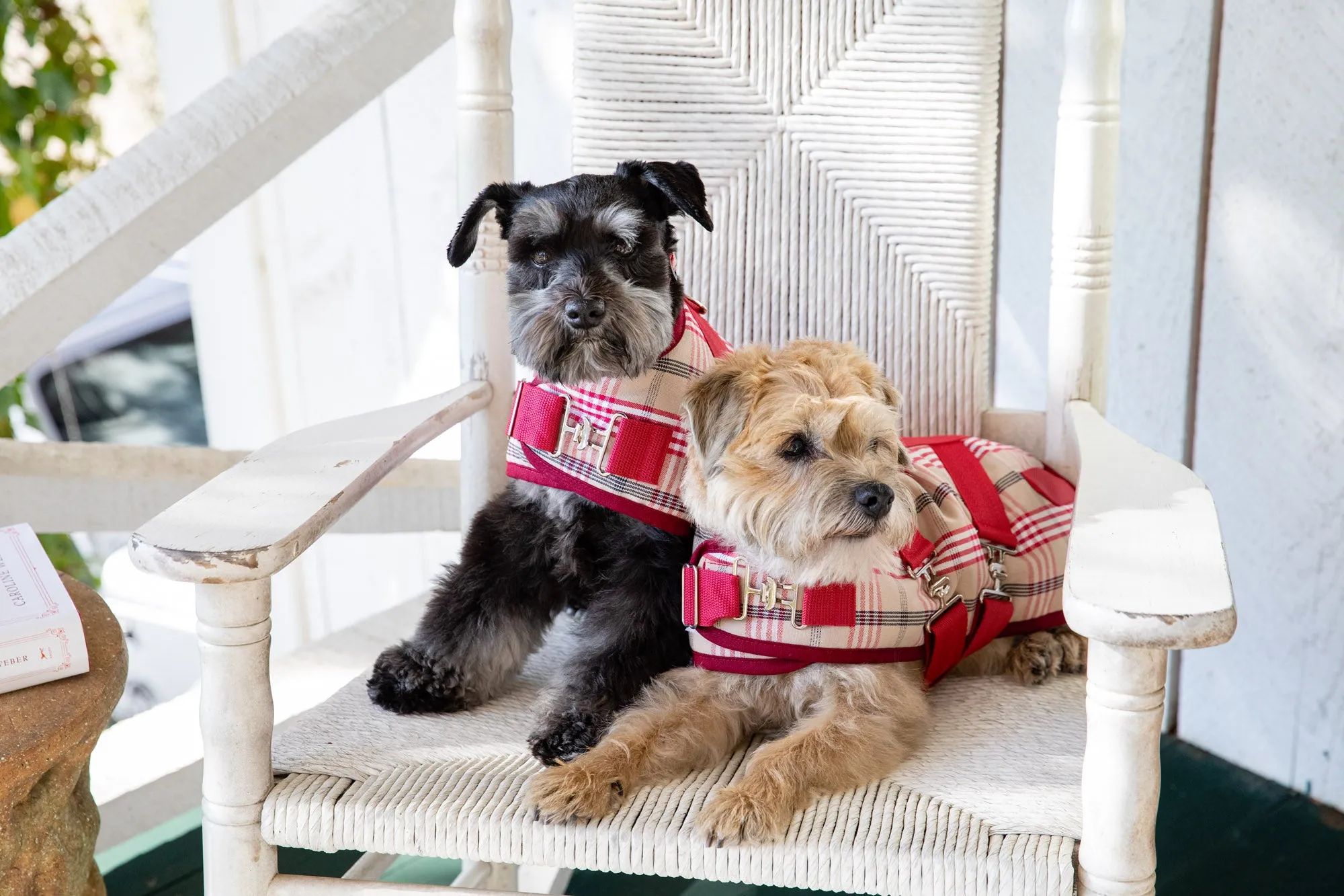 Horse Blanket - Signature Red Plaid