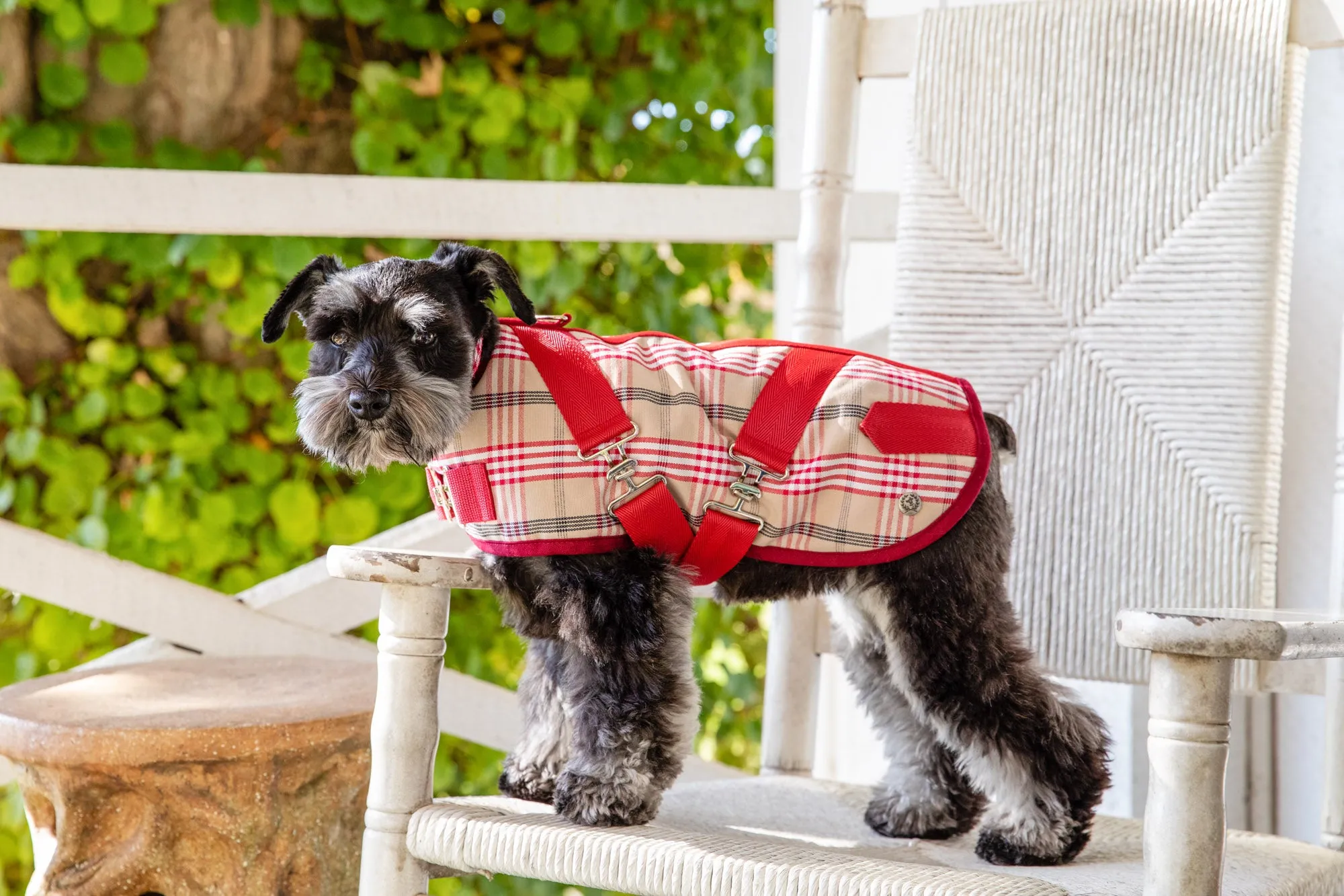 Horse Blanket - Signature Red Plaid